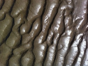 ripples in sand