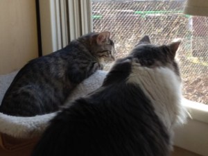 betty-and-jane-window-1