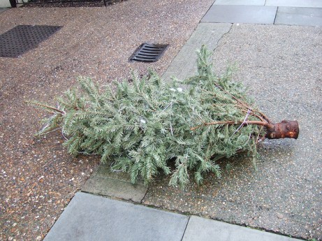ex-xmas-tree
