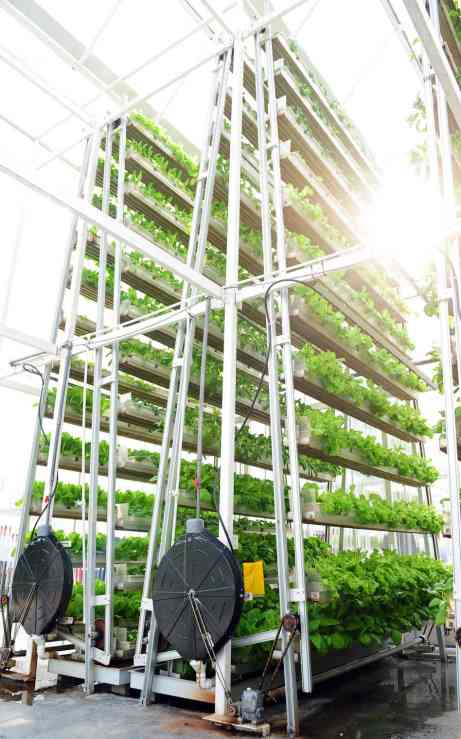 verticalfarm-1