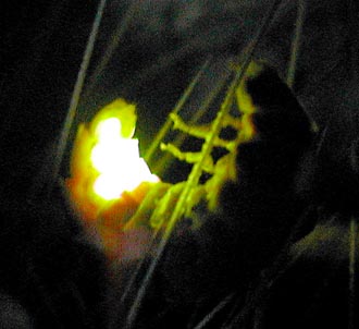 glowworm11