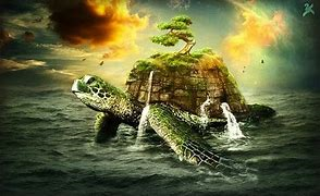 world turtle 1