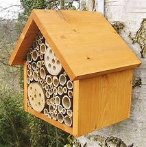 bee hotel 1