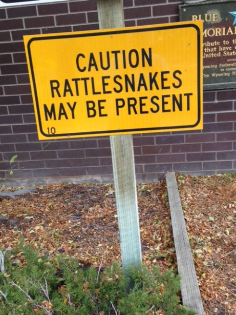 snake sign